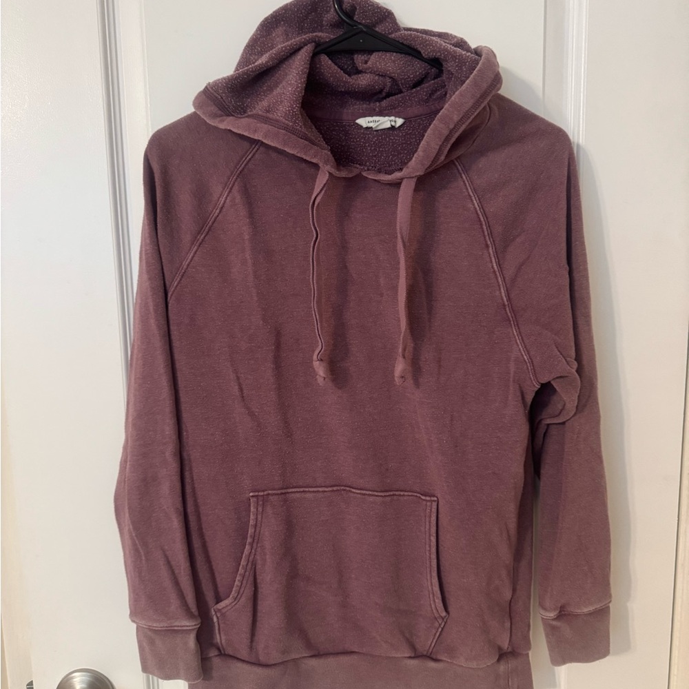 American Eagle Outfitters Mauve Hoodie